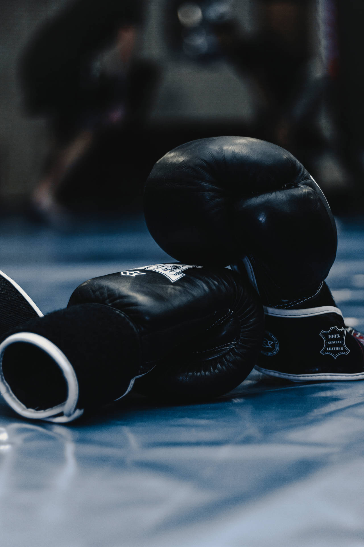 Academia de boxe com equipamentos profissionais e ambiente de treinamento